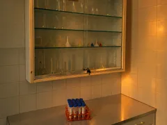 Glasschrank mit Chemikalien und Laborglas über einer Arbeitsplatte mit Reagenzgläsern